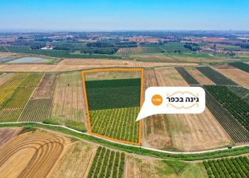 מגרשים פרטיים לשימוש עצמי לראשונה: רבע דונם פרטי לשימוש עצמי עד ההפשרה במגרשים המדהימים בגבעת עדה-בימינה! – יחידת קרקע בשטח של 250 מ"ר במחיר של 109,000 ש"ח בלבד.