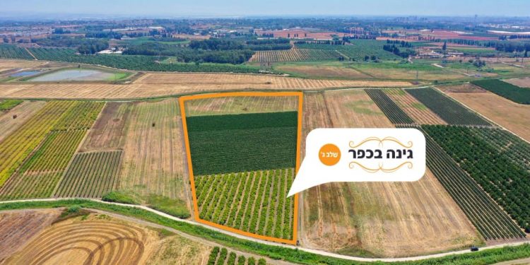 מגרשים פרטיים לשימוש עצמי לראשונה: רבע דונם פרטי לשימוש עצמי עד ההפשרה במגרשים המדהימים בגבעת עדה-בימינה! – יחידת קרקע בשטח של 250 מ"ר במחיר של 109,000 ש"ח בלבד.