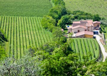 השקעות נדל"ן במושבים: יופי שמשלים הכנסה! – חווית מגורים ייחודית דרך משקים חקלאיים וחוות סוסים.