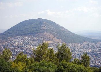 מהפכה בנדל"ן: 'שיבולת' – יישוב חדשני בגליל התחתון! – המשלב דיור לבעלי צרכים מיוחדים.