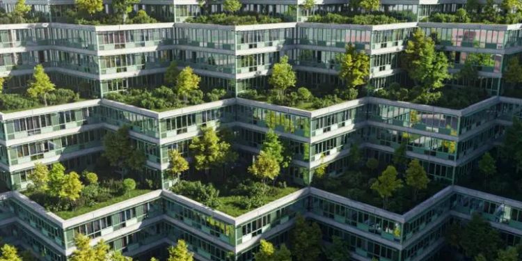 עיצוב נוירולוגי: הבית שמשפר את חייך! – יופי, בריאות ושלווה במקום אחד.